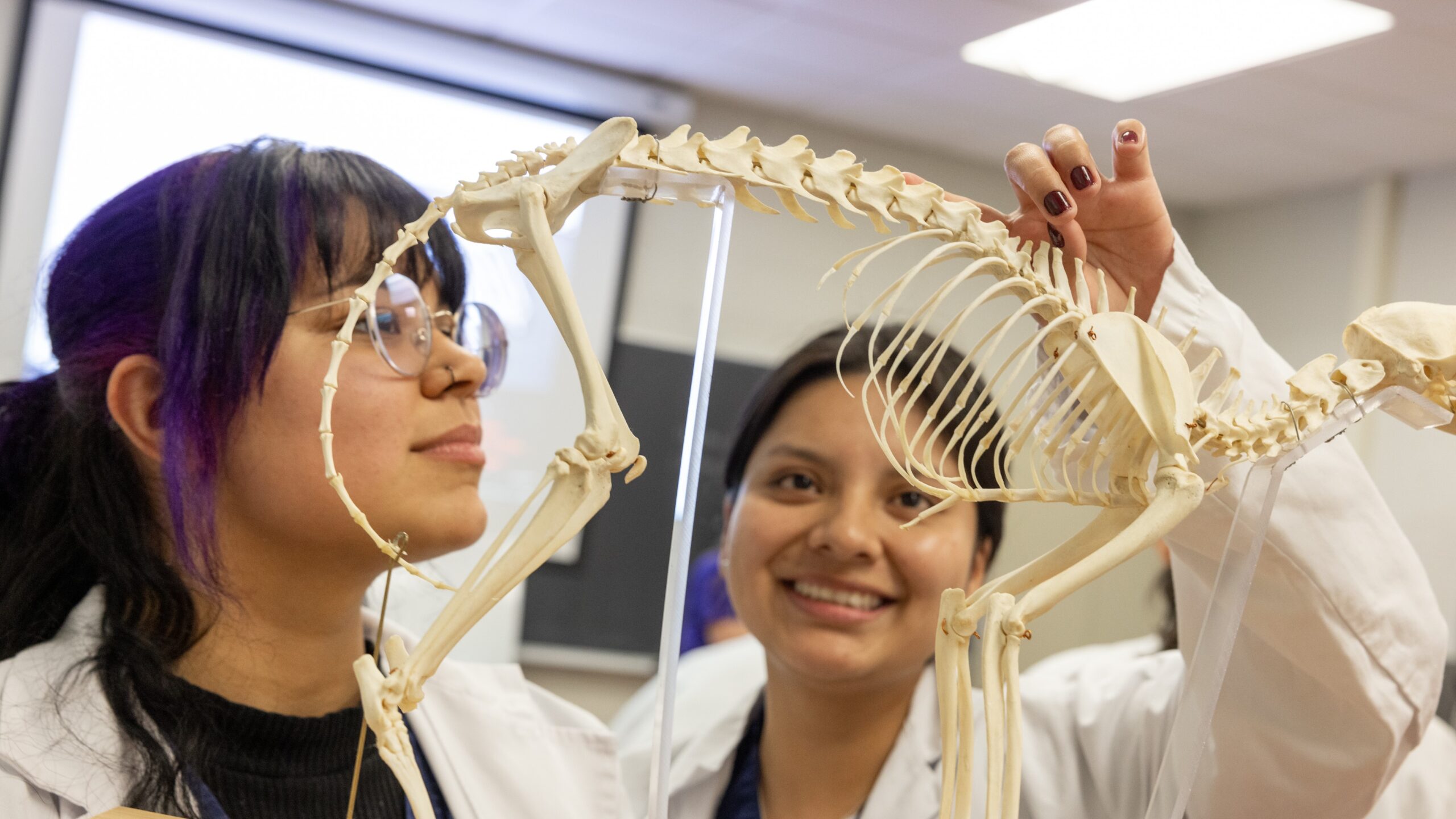 WCC classrooms 10/29/2024