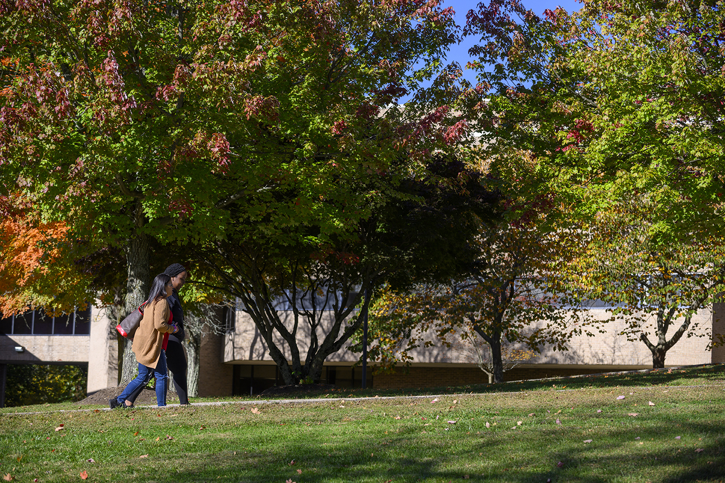 SUNY Westchester Community College