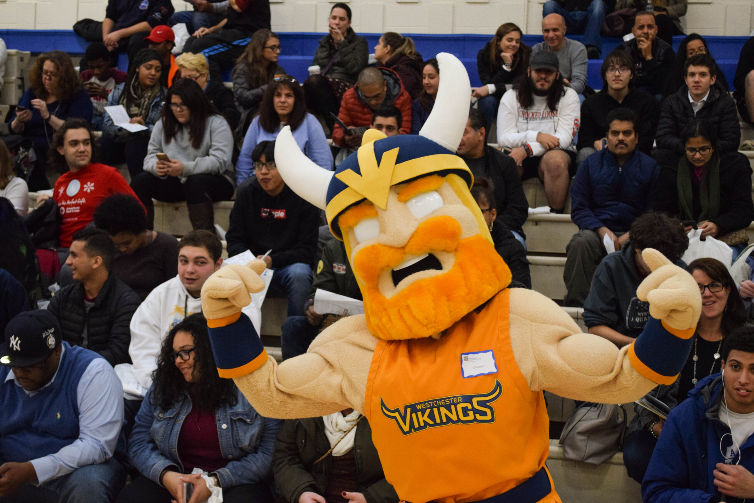 38513316282 4728c0cee0 o